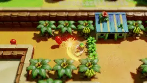 La costa toronbo, teatro del glitch di the legend of zelda: link's awakening