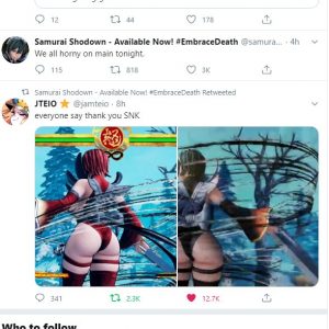 Samurai shodown, snk rimuove un tweet sessista e offensivo