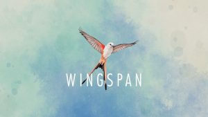 Wingspan