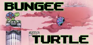 Bungee turtle