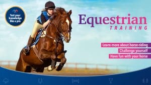 Equestrian training