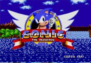 Sonic the hedgehog