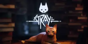 Stray diventerà un film di animazione!