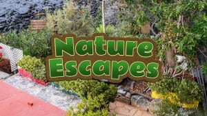 Nature escapes - recensione playstation 5