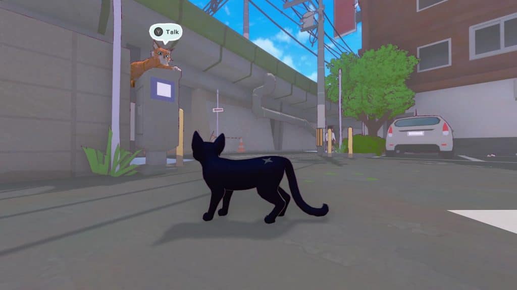 Little kitty, big city: ottimi risultati a 48 ore dal lancio