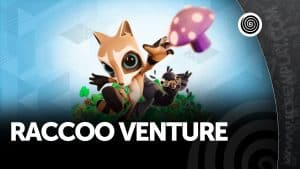 Raccoo venture