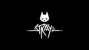 Stray