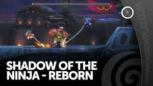 Shadow of The Ninja-Reborn